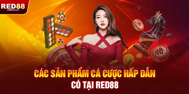 Red88 | Nhà Cái Cá Cược Thể Thao, Casino Uy Tín Hàng Đầu Việt Nam 19 Sản phẩm hấp dẫn