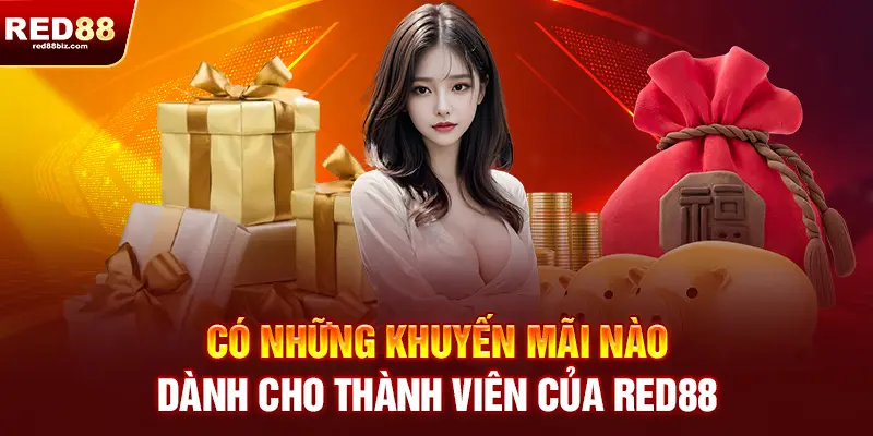 Red88 | Nhà Cái Cá Cược Thể Thao, Casino Uy Tín Hàng Đầu Việt Nam 23 Có những khuyến mãi nào dành cho thành viên RED88