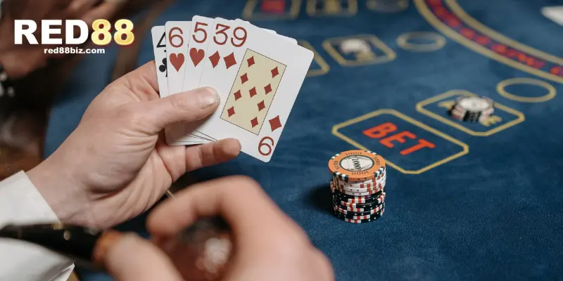 Tips chơi Baccarat hiệu quả, thắng lớn trong mọi ván cược 3 Phân tích, chọn lọc ván cược có tỷ lệ thắng cao