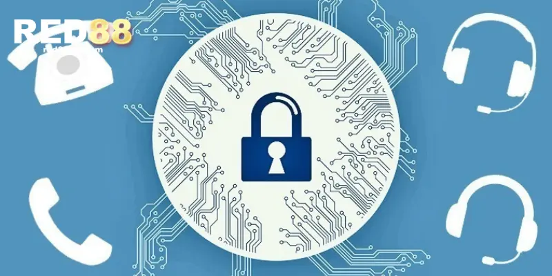 RED88 thu thập dữ liệu người dùng như thế nào? 