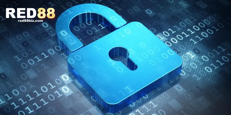 Chính sách bảo mật về hành vi gian lận 