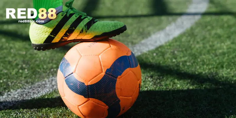 Tham gia ngay các kèo cá cược này để không bỏ lỡ cơ hội phát tài