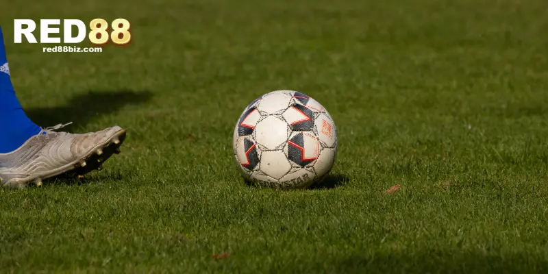 Bí quyết soi kèo half time/full time