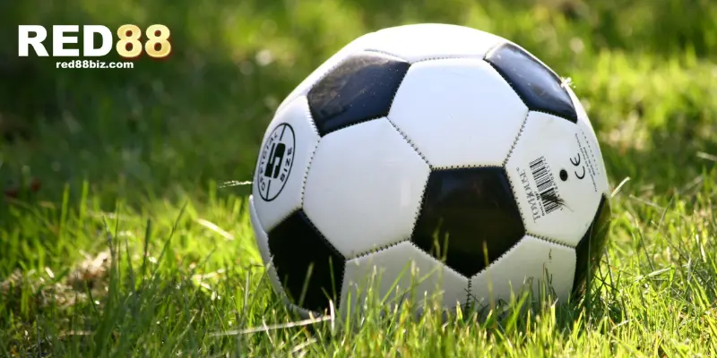 Hướng Dẫn Chơi Kèo Cược Xiên Bóng Đá Chuẩn Nhất Hiện Nay 3 Chia sẻ kinh nghiệm từ chuyên gia về kèo cược xiên