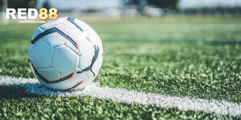 Hướng Dẫn Chơi Kèo Cược Xiên Bóng Đá Chuẩn Nhất Hiện Nay 2 Tìm hiểu kỹ luật chơi, cách tính kèo cược xiên bóng đá