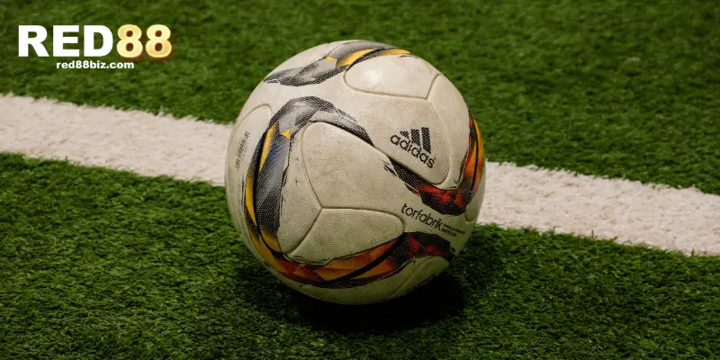 Một trong những loại kèo được nhiều người chơi mới quan tâm 