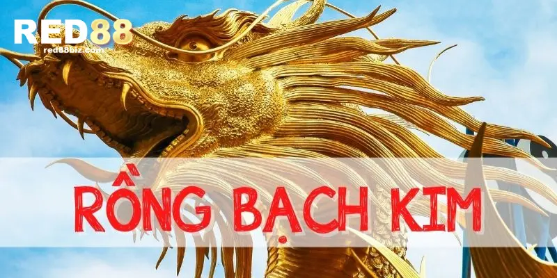 Mẹo Soi Cầu Rồng Bạch Kim Để Dễ Dàng Thắng Lớn 1 Hình thức chơi lô đề rồng bạch kim tạo cơ hội thắng lớn