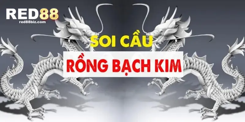 Mẹo Soi Cầu Rồng Bạch Kim Để Dễ Dàng Thắng Lớn 2 Thời gian nuôi dàn đề rồng bạch kim hiệu quả nhất trong vòng một tuần