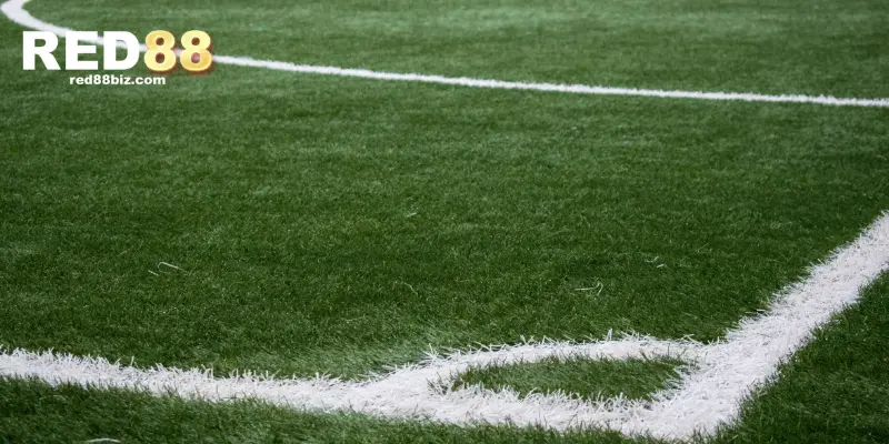 Nhà cái luôn có hướng dẫn cụ thể cho thành viên tham gia