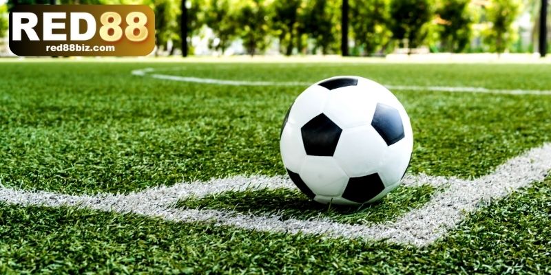 Kèo Phạt Góc – 3 Bí Quyết Soi Kèo Hiệu Quả Tăng Tỷ Lệ Thắng 2 4 kiểu cược kèo thẻ phạt phổ biến được ưa chuộng