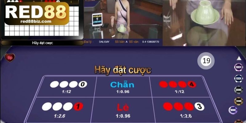 Xóc Đĩa Trực Tuyến - Cách Chơi Và Kinh Nghiệm Thắng Lớn 3 4 kiểu cược xóc đĩa được yêu thích nhất