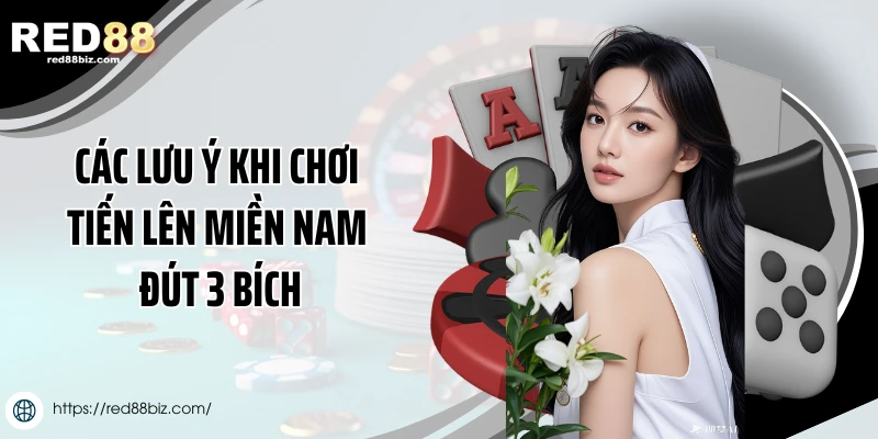 Tiến Lên Miền Nam Đút 3 Bích - Bí Quyết Thắng Đậm 3 Các lưu ý khi chơi tiến lên miền Nam đút 3 bích
