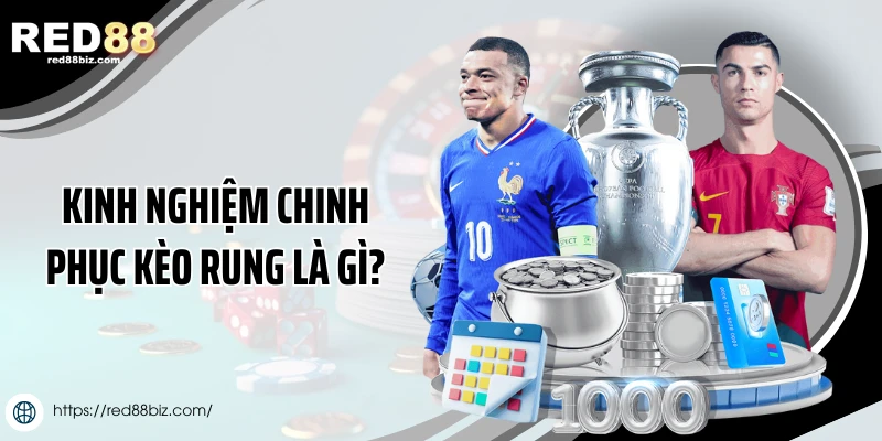 Kèo Rung Là Gì? Bí Quyết Soi Và Đánh Kèo Hiệu Quả 3 Kinh nghiệm cao thủ chinh phục kèo rung là gì?